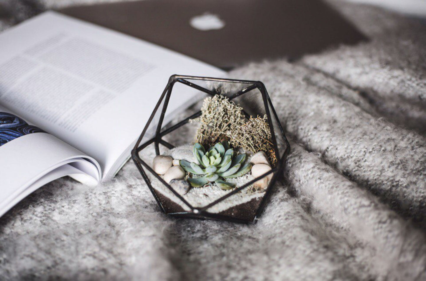 Icosahedron Geometric Terrarium