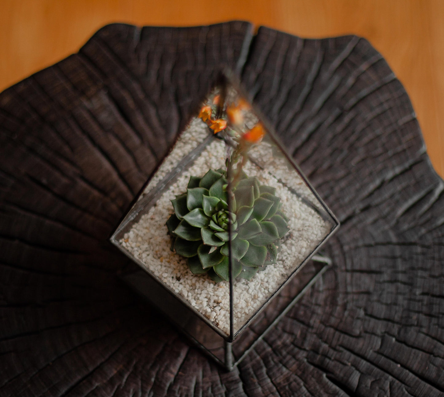 Small Pyramid Glass Planter