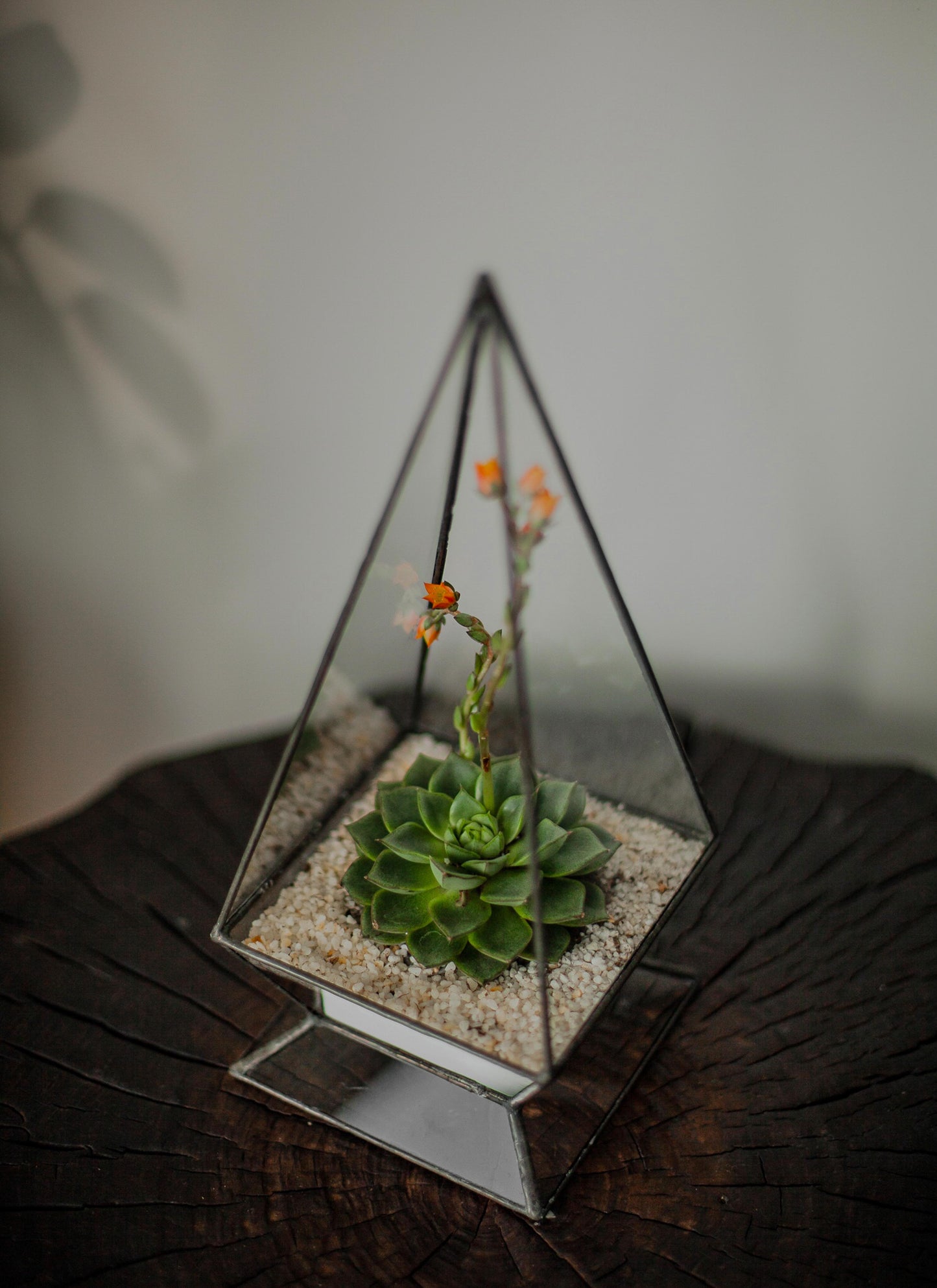 Small Pyramid Glass Planter