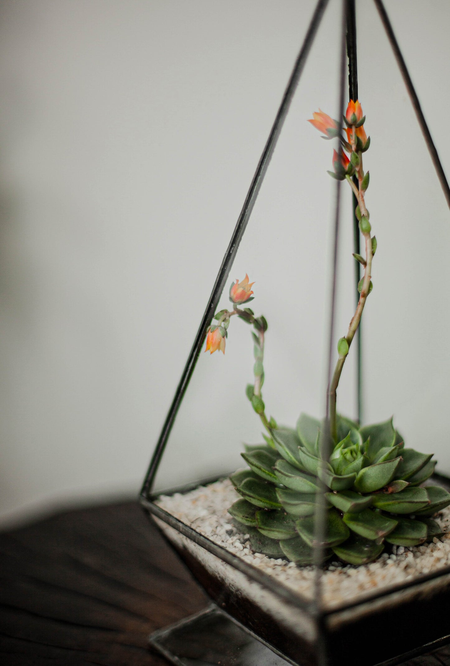 Small Pyramid Glass Planter