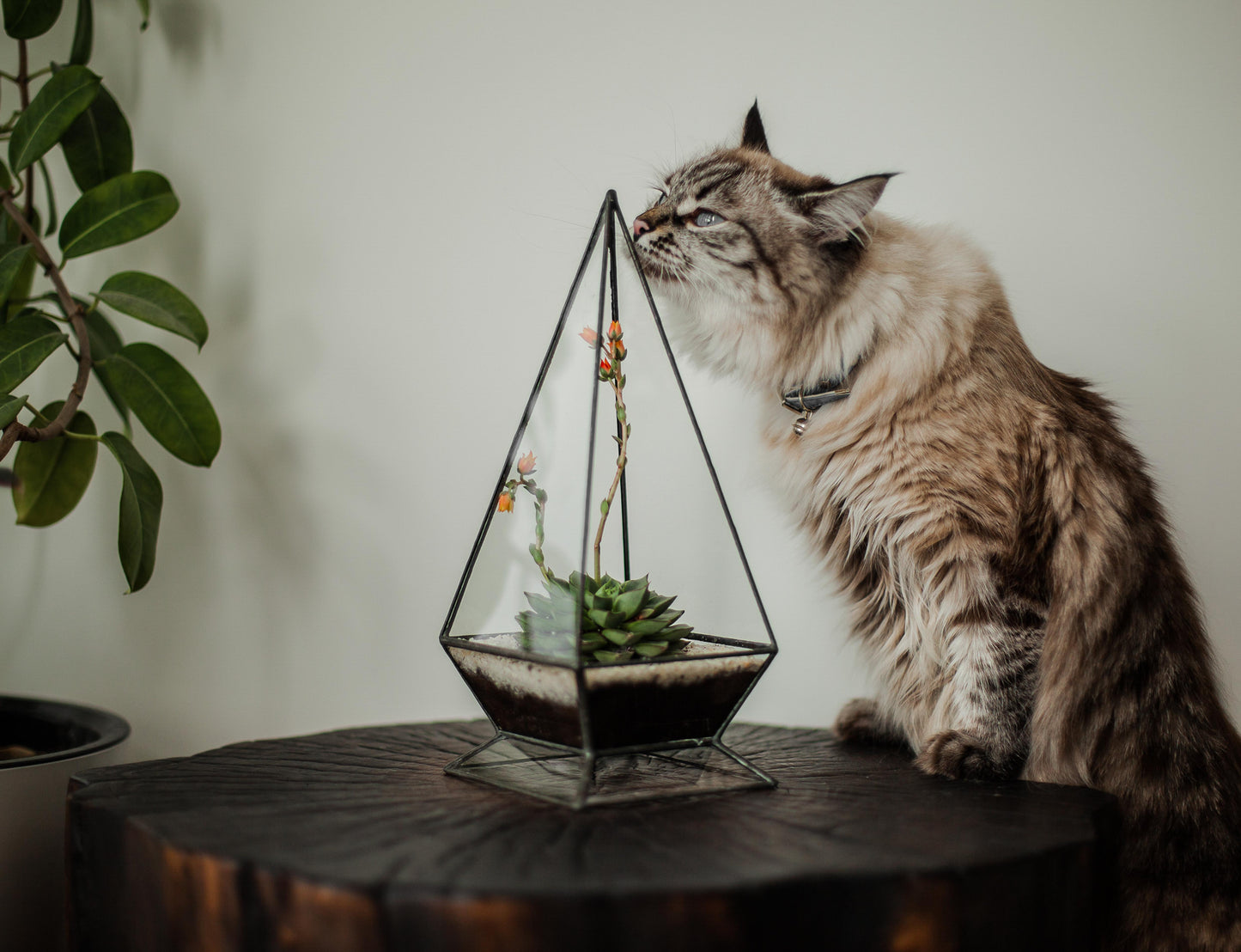 Small Pyramid Glass Planter