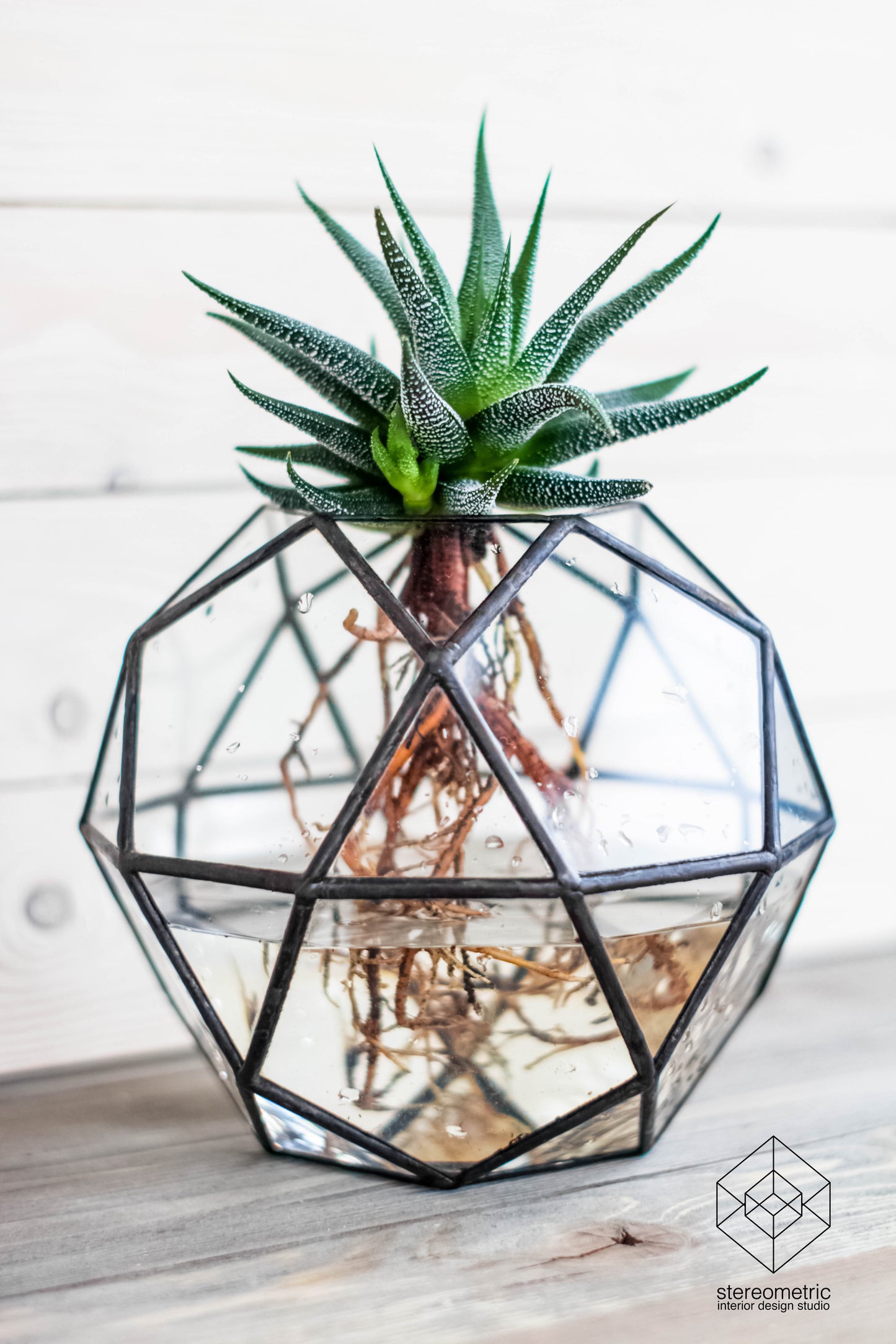 Icosidodecahedron Geometric Terrarium