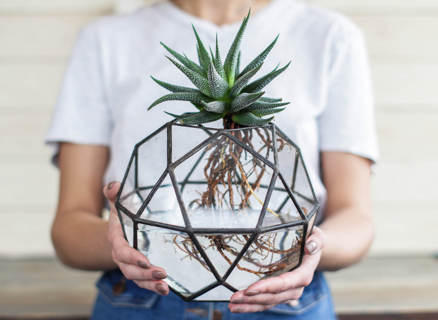 Icosidodecahedron Geometric Terrarium