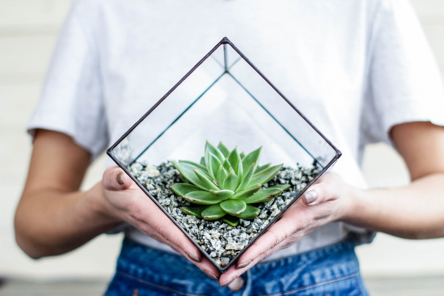Geometric Cube Glass Florarium