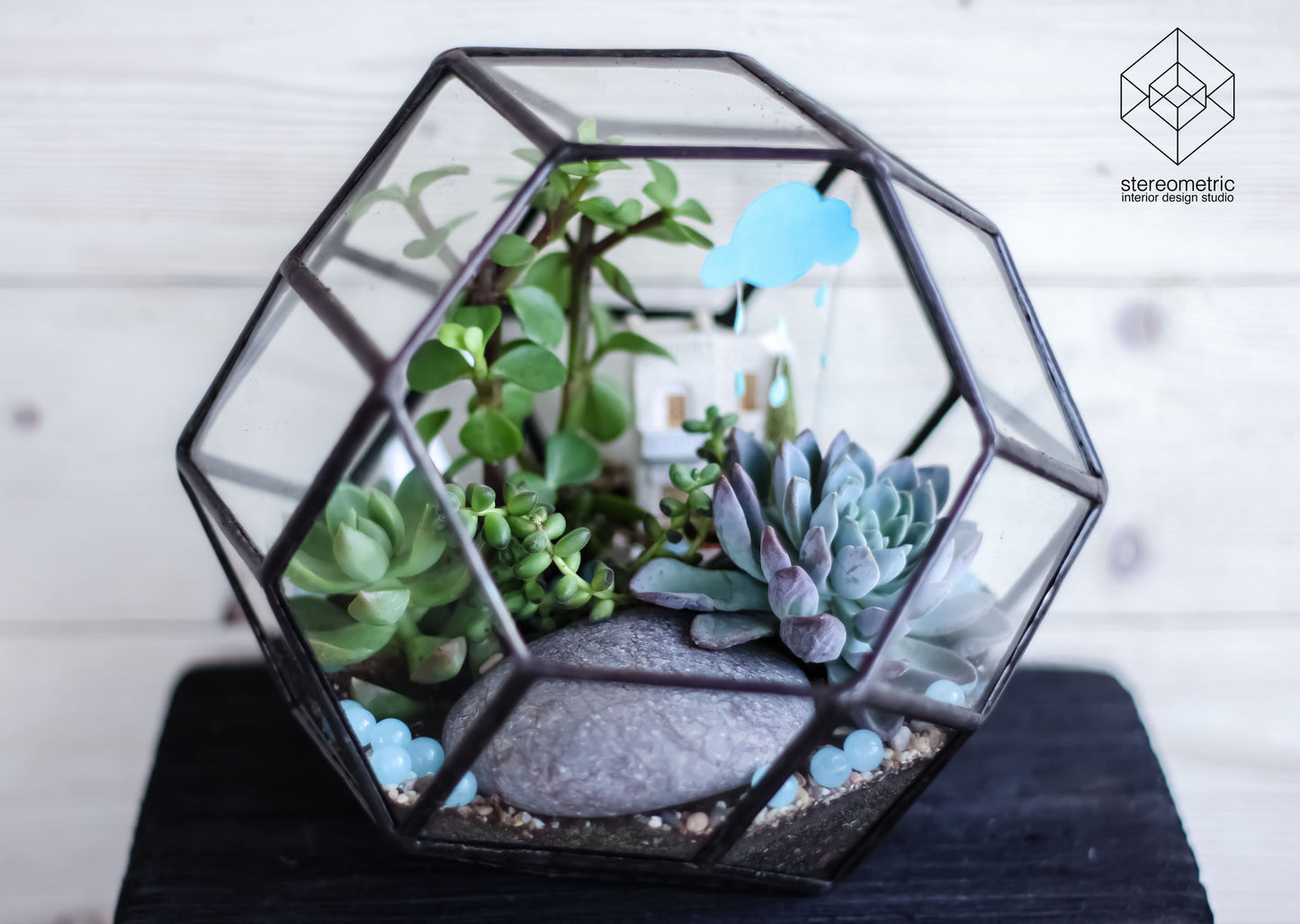 Rhombic Geometric Terrarium