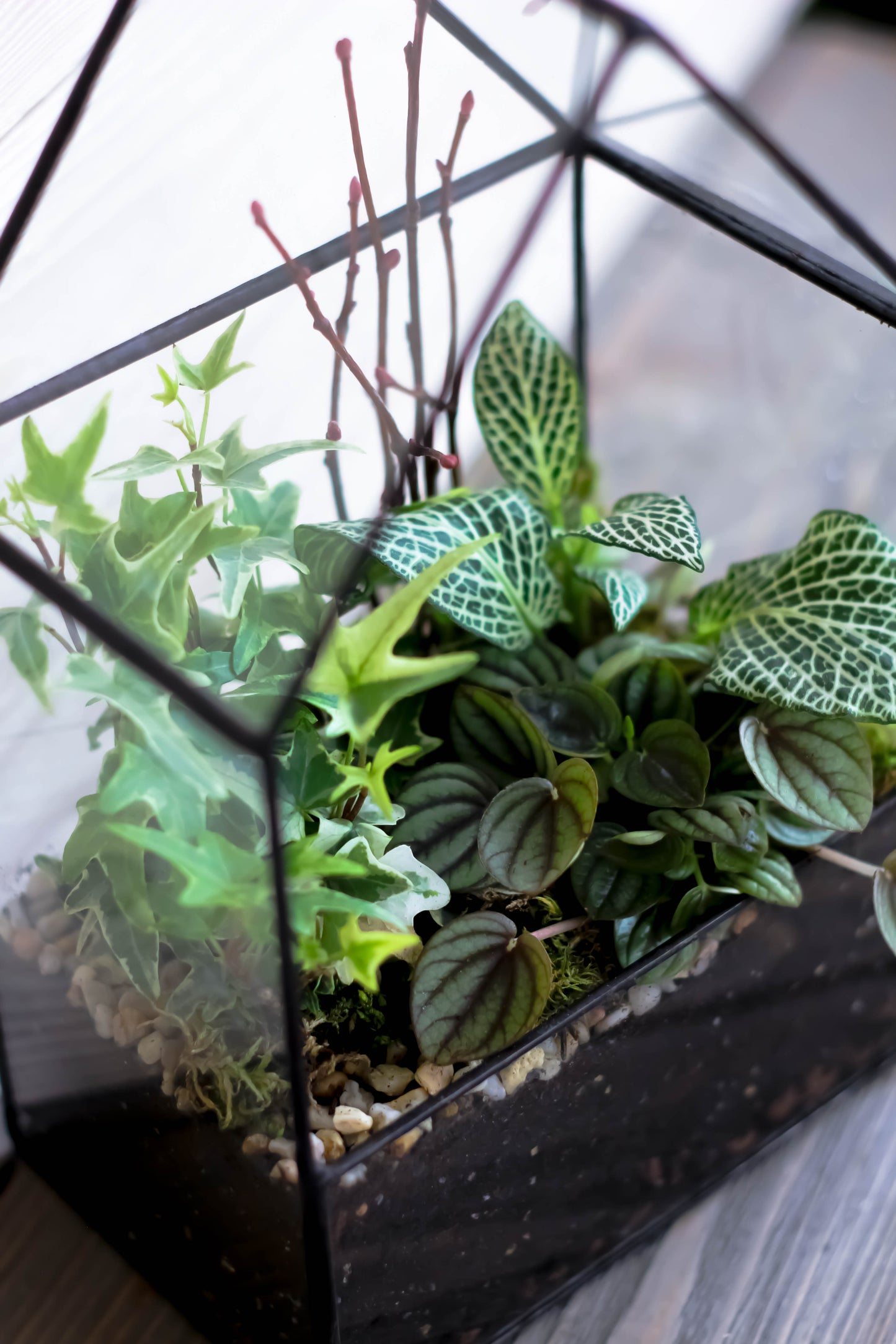 Big Glass House Planter