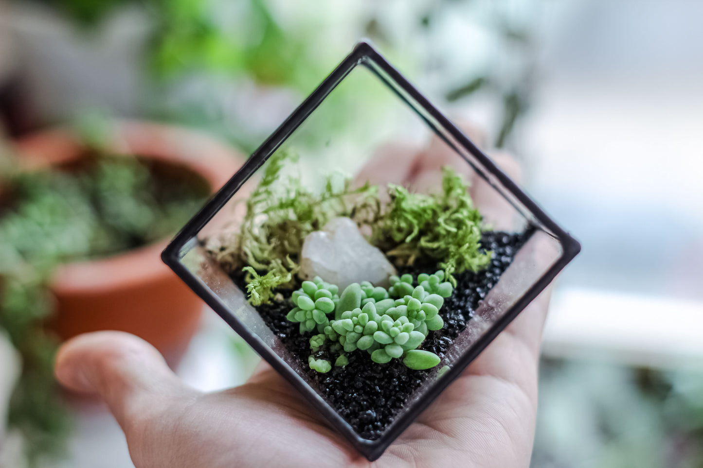 Mini Cube Glass Planter