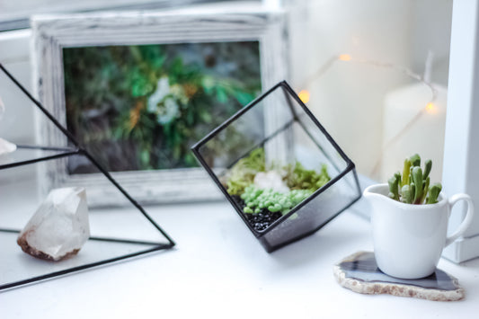 Mini Cube Glass Planter