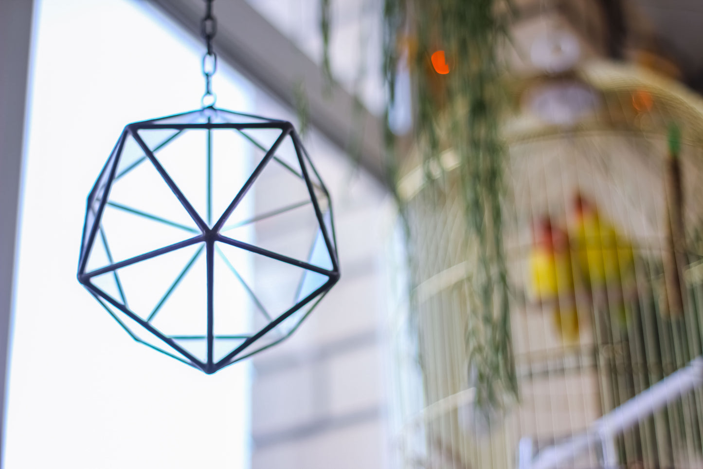 Icosahedron Pendant Geometric Terrarium