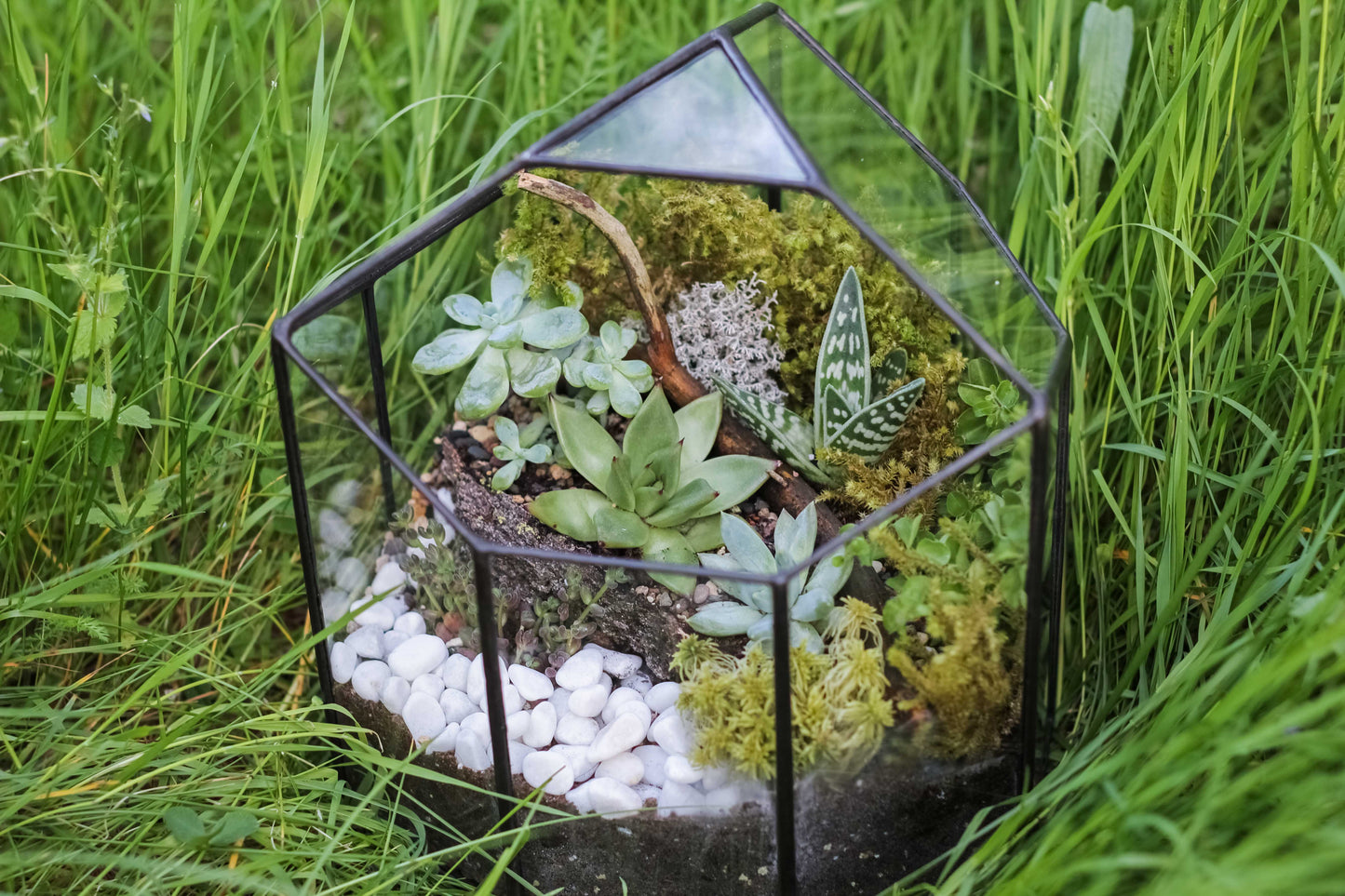 Large Crystal Glass Geometric Terrarium