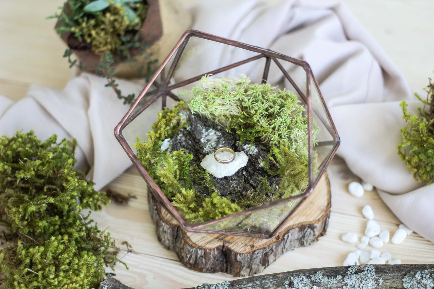 Icosahedron Geometric Terrarium
