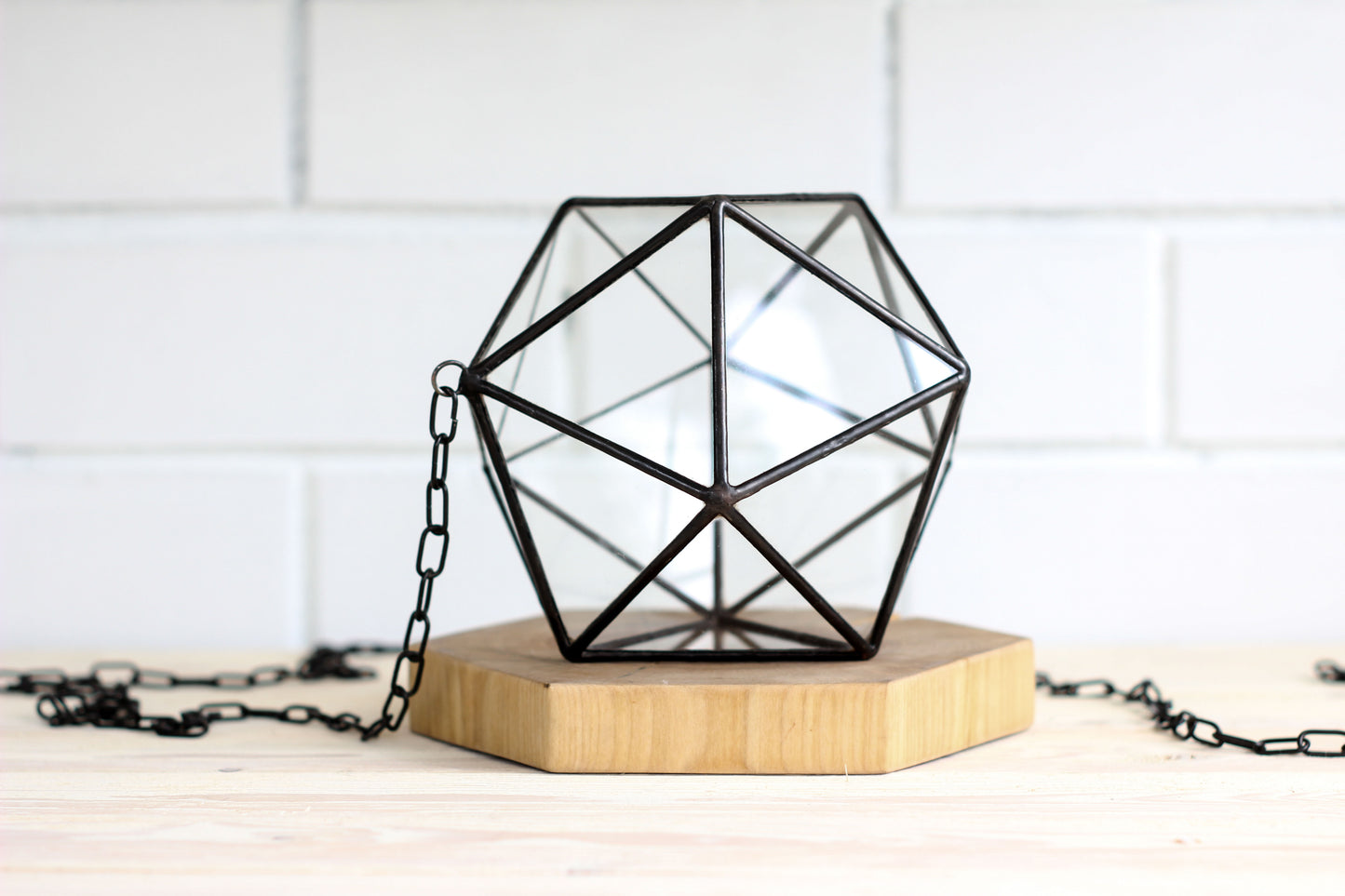 Icosahedron Pendant Geometric Terrarium