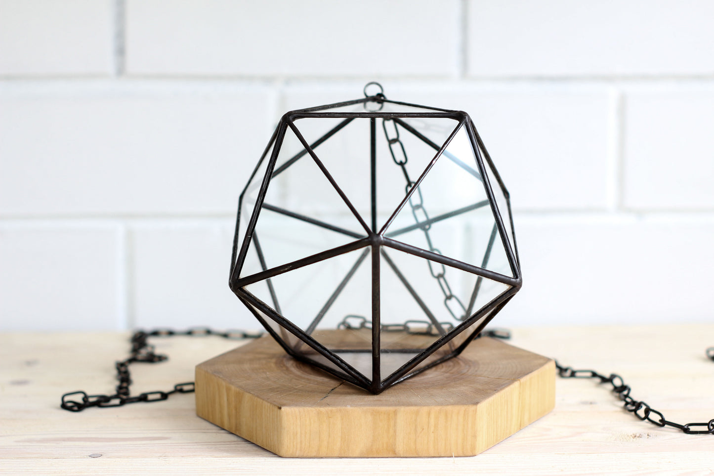 Icosahedron Pendant Geometric Terrarium