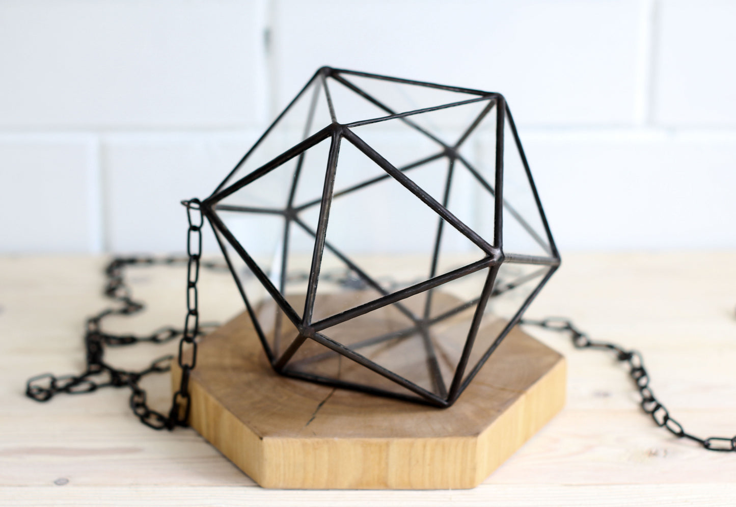 Icosahedron Pendant Geometric Terrarium