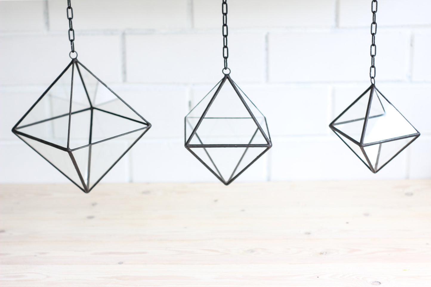 Set of 3 Air Plant Glass Terrariums