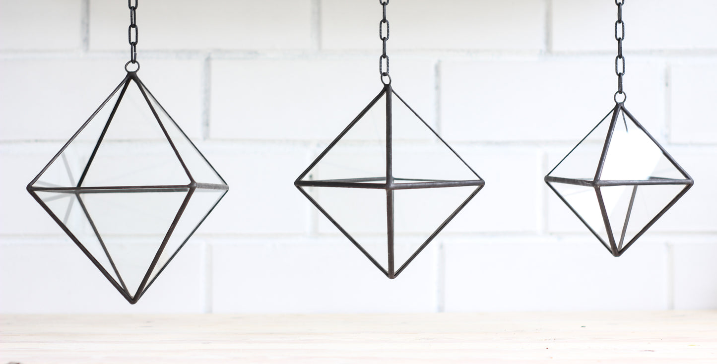 Set of 3 Air Plant Glass Terrariums