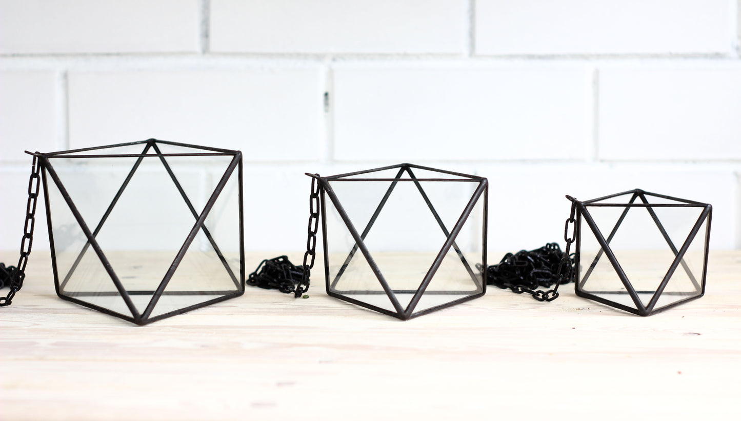 Set of 3 Air Plant Glass Terrariums