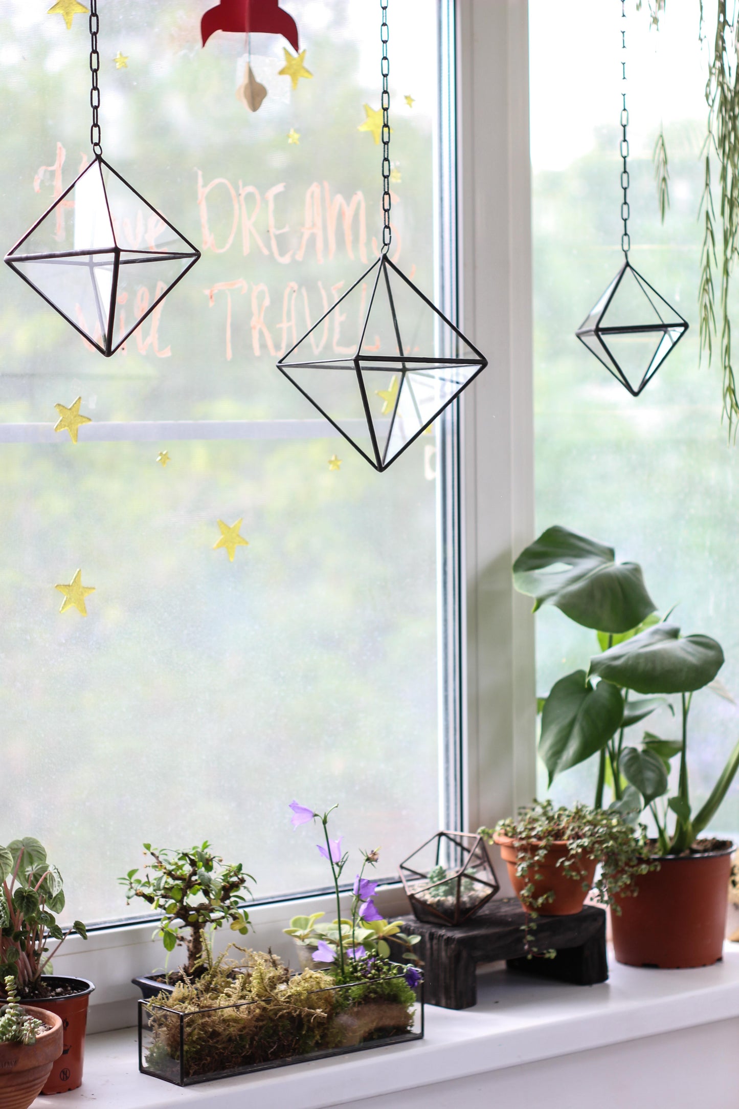 Set of 3 Air Plant Glass Terrariums