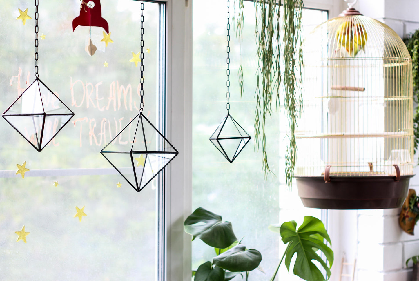 Set of 3 Air Plant Glass Terrariums