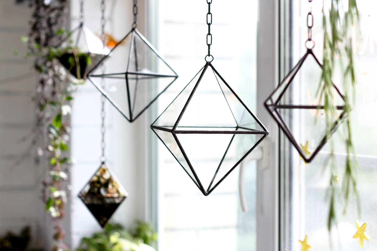 Set of 3 Air Plant Glass Terrariums