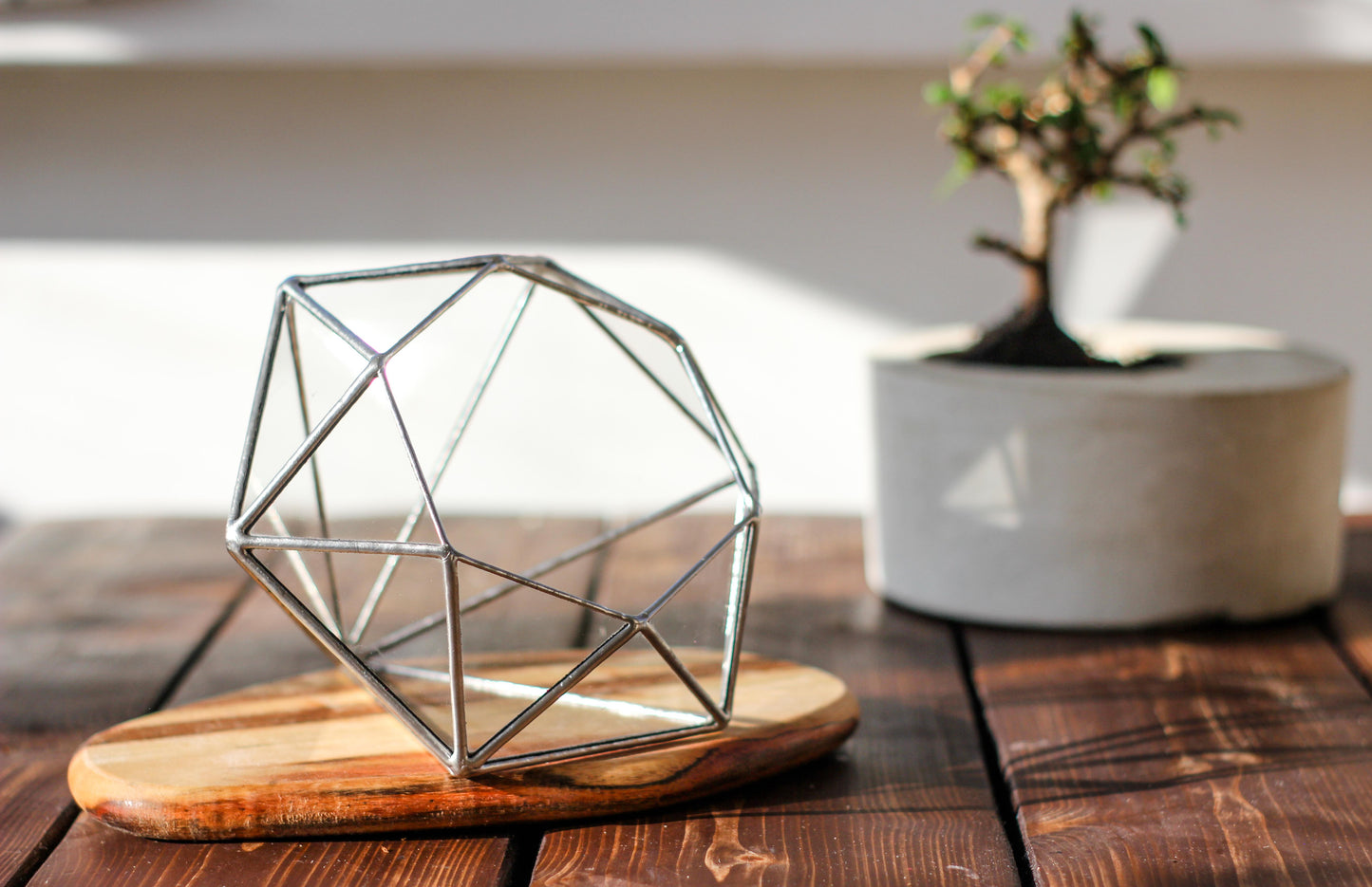Big Diamond Glass Geometric Terrarium