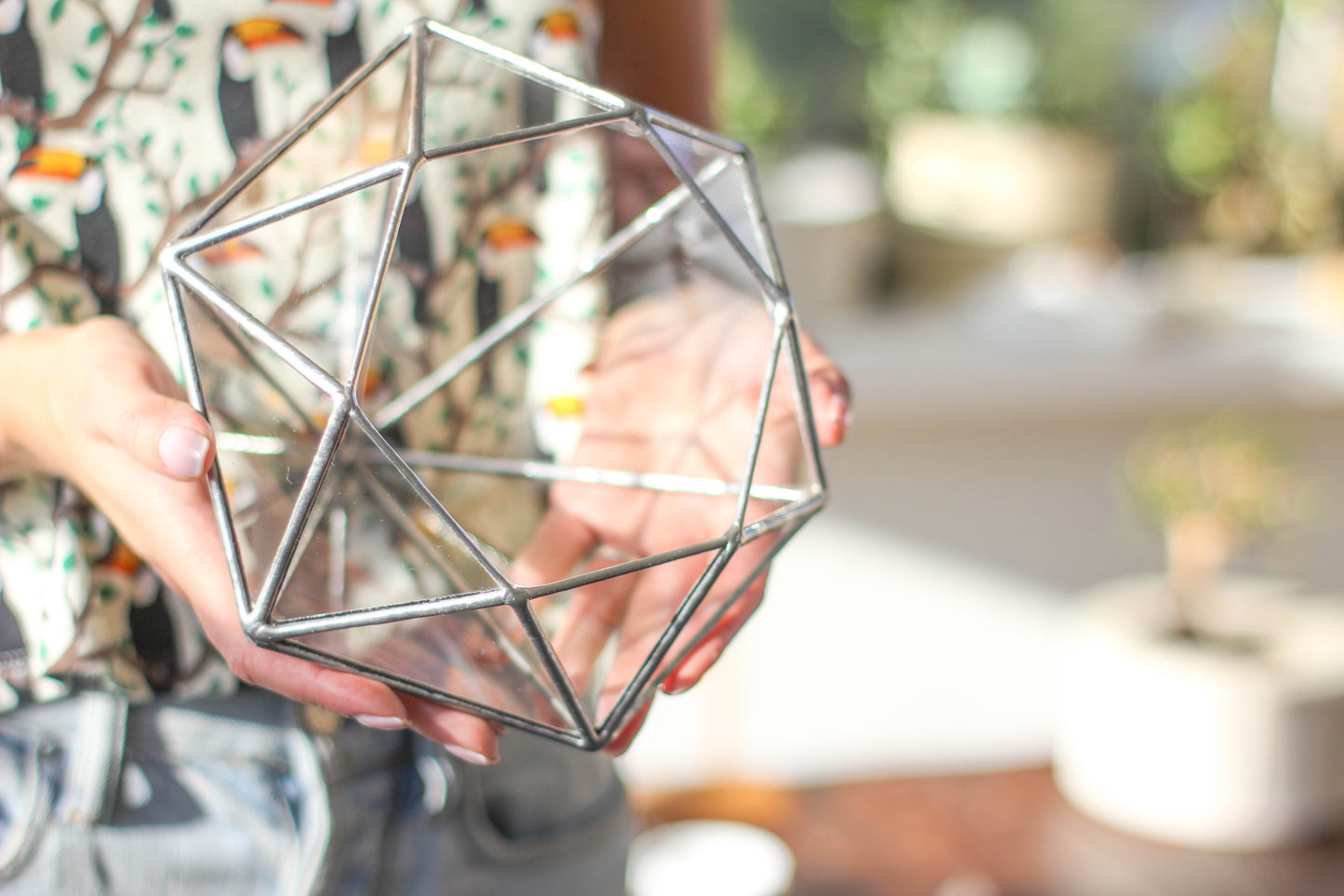 Big Diamond Glass Geometric Terrarium