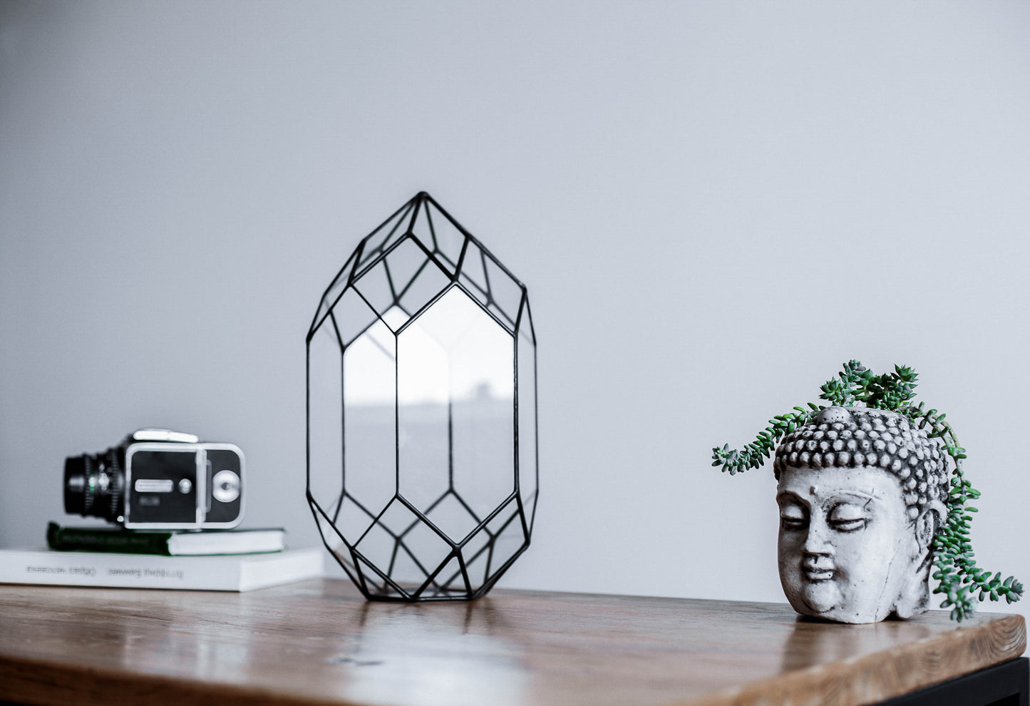 Orchid Crystal Geometric Terrarium