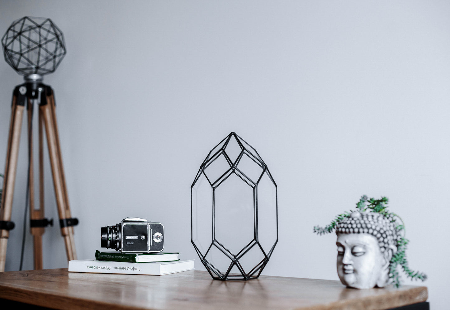 Orchid Crystal Geometric Terrarium