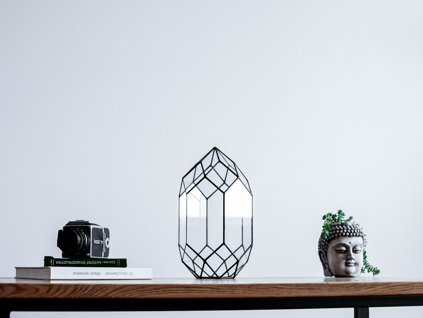 Orchid Crystal Geometric Terrarium