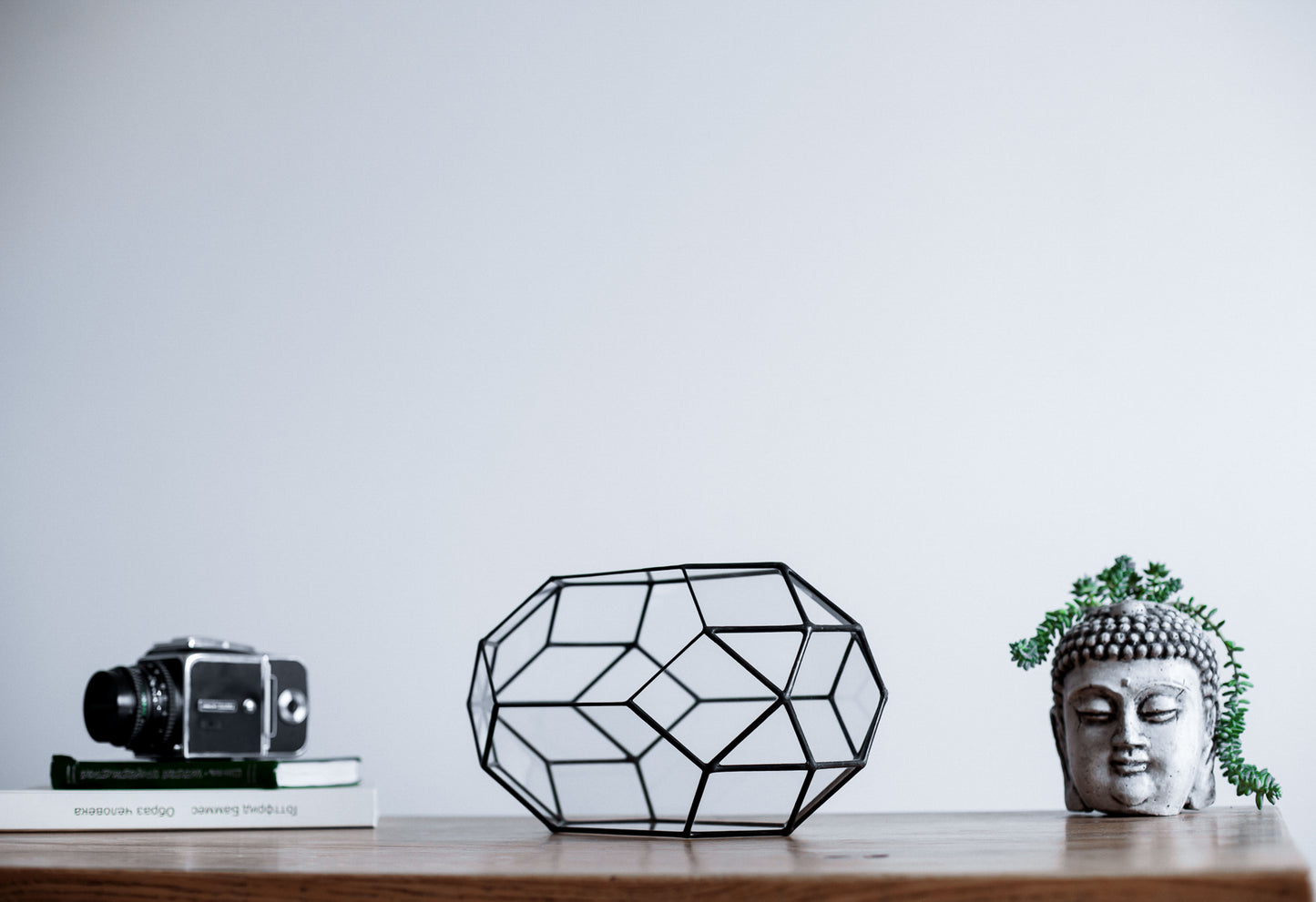 Orchid Crystal Geometric Terrarium