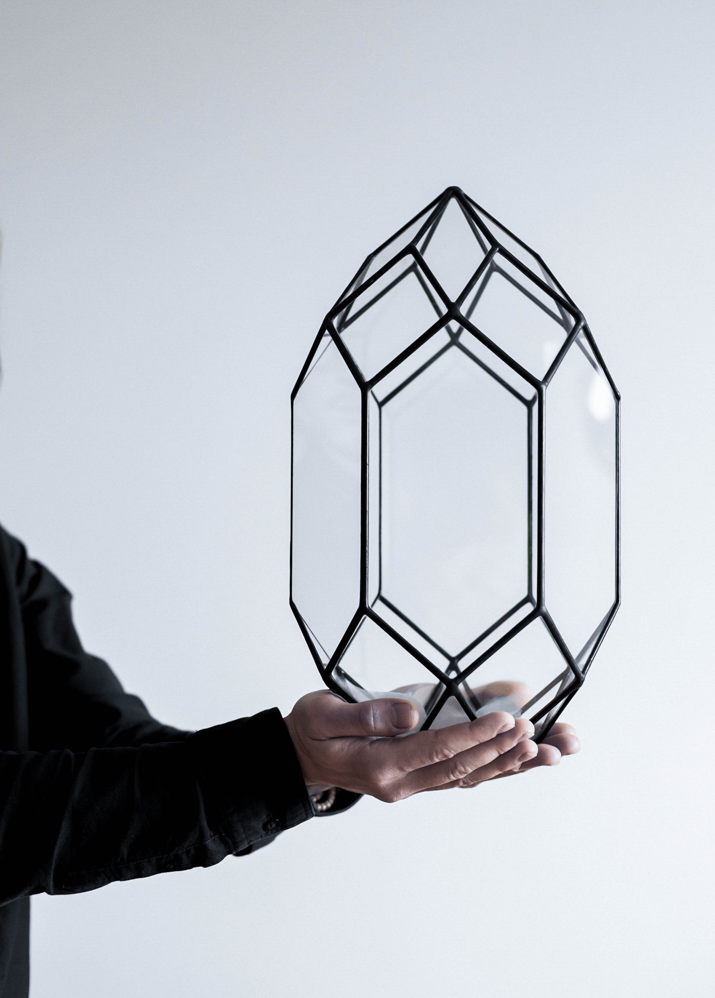 Orchid Crystal Geometric Terrarium