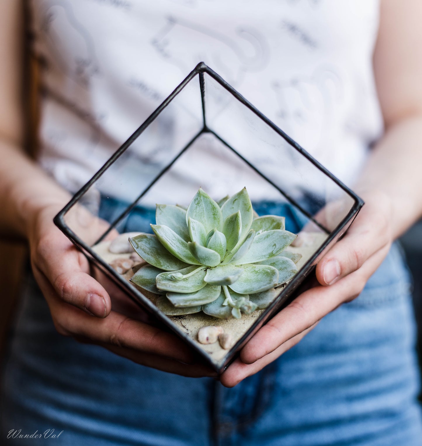 Geometric Cube Glass Florarium