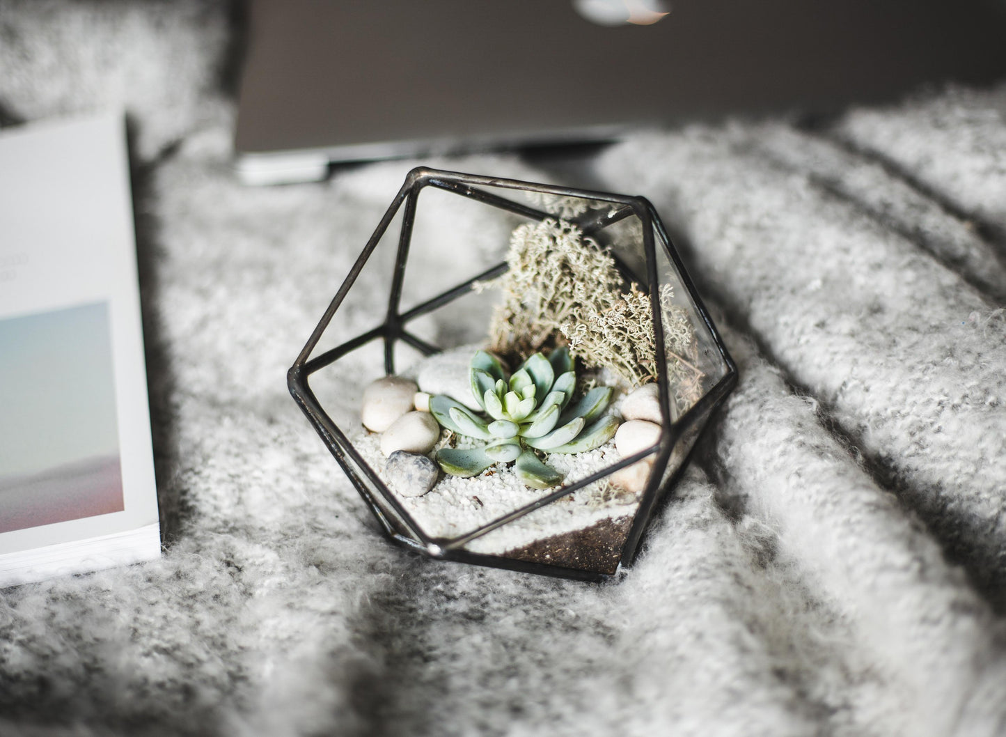 Icosahedron Geometric Terrarium