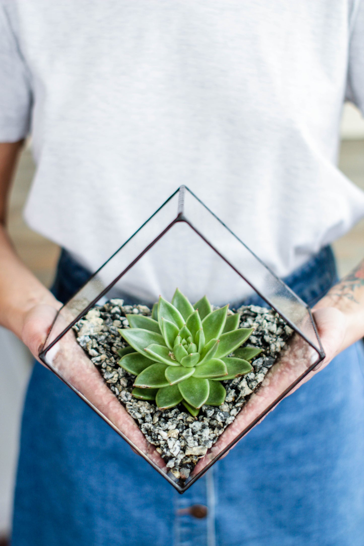 Geometric Cube Glass Florarium