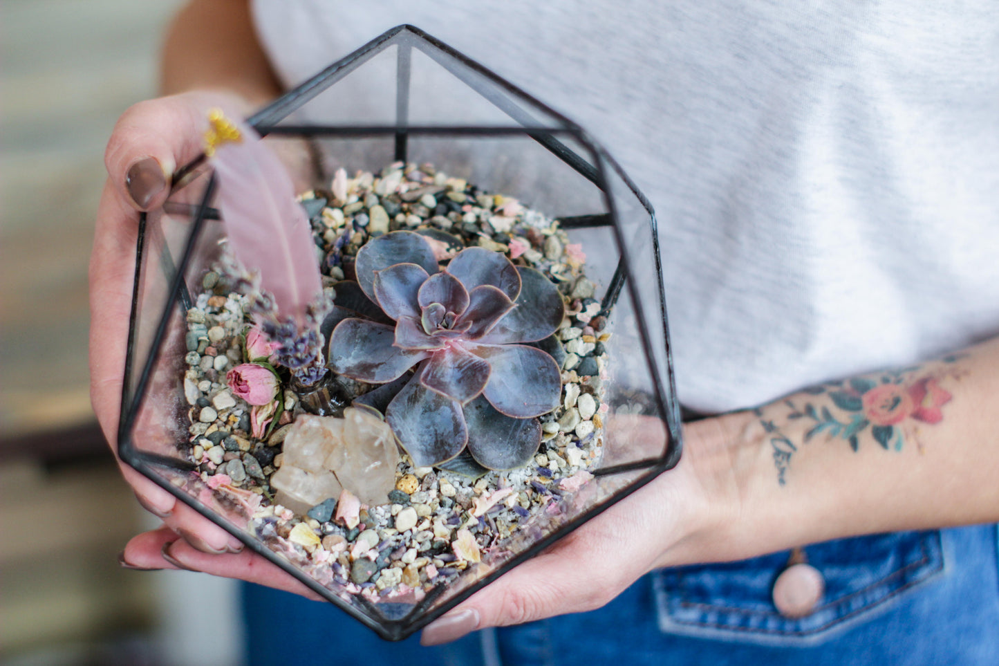 Icosahedron Geometric Terrarium