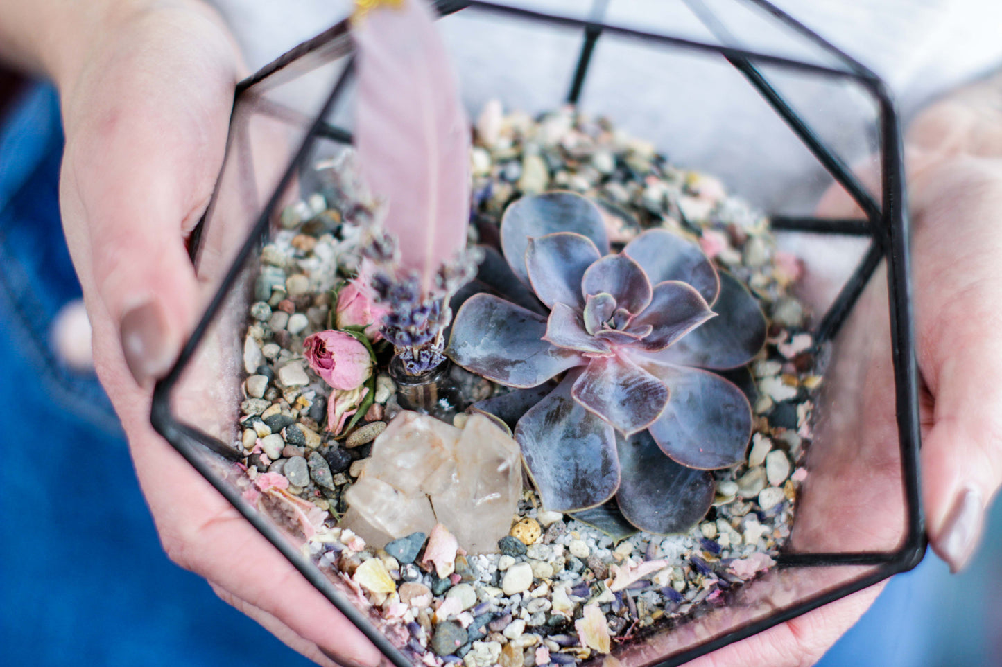 Icosahedron Geometric Terrarium