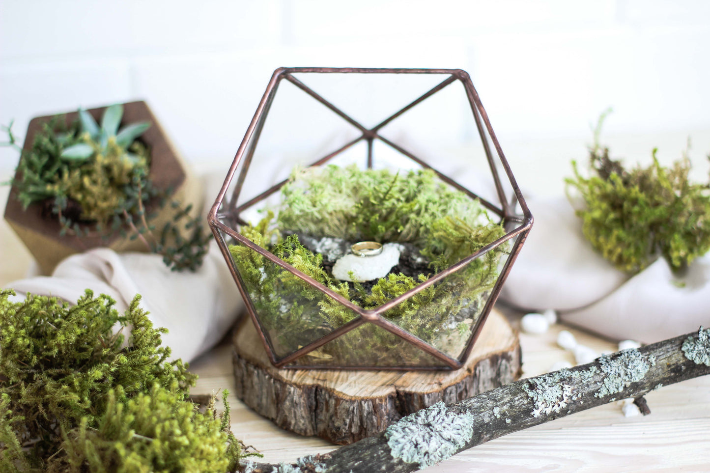 Icosahedron Geometric Terrarium