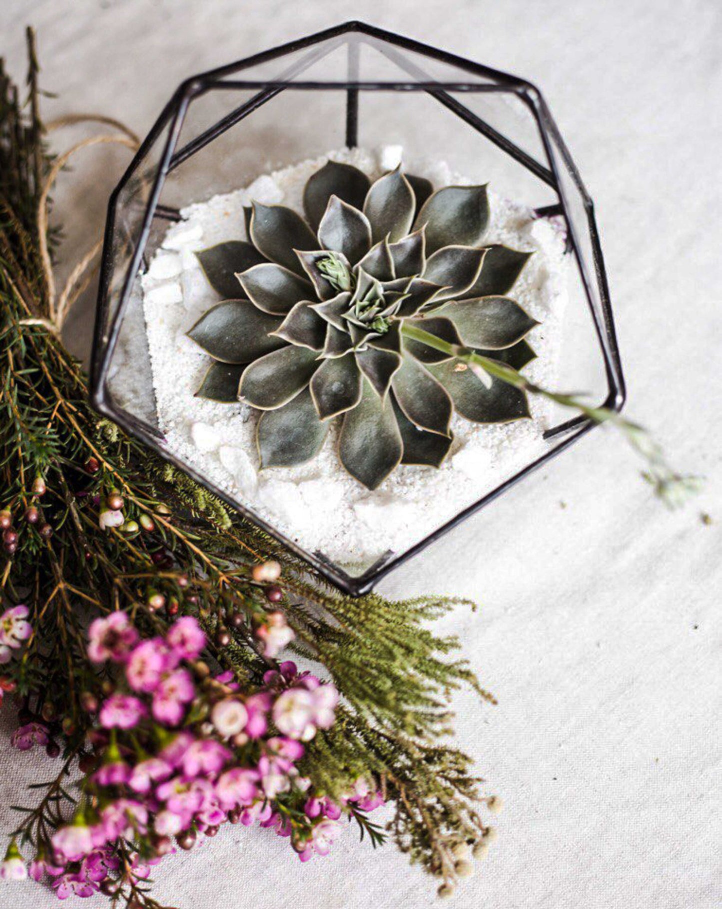 Icosahedron Geometric Terrarium