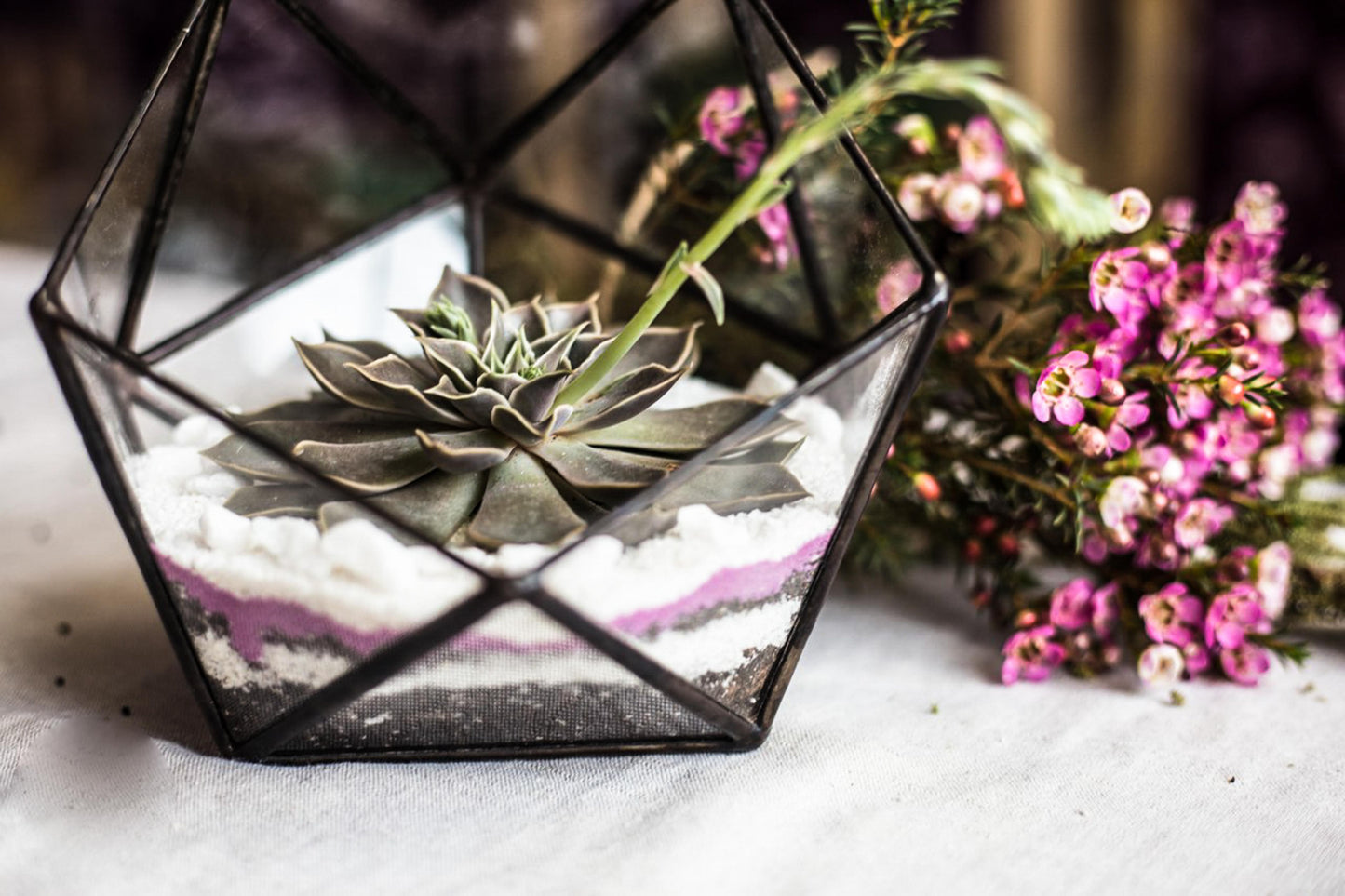 Icosahedron Geometric Terrarium